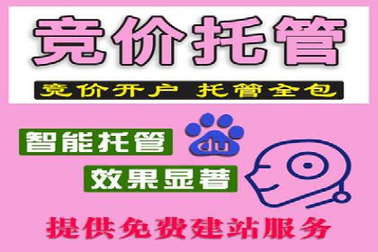社交媒体信息流广告的创意与投放策略案例